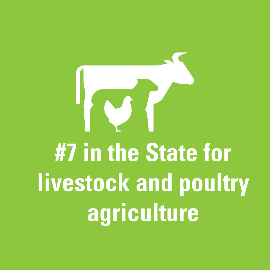 #7 in the State for livestock and poultry agriculture